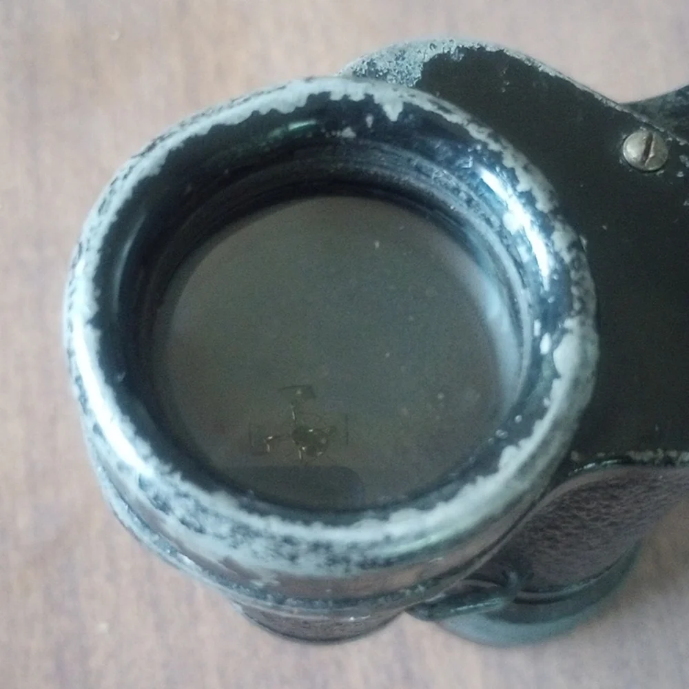 CARL ZEISS Jena DELTRENTIS 8x30 Binoculars (circa 1924)